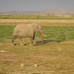 DSCN2309