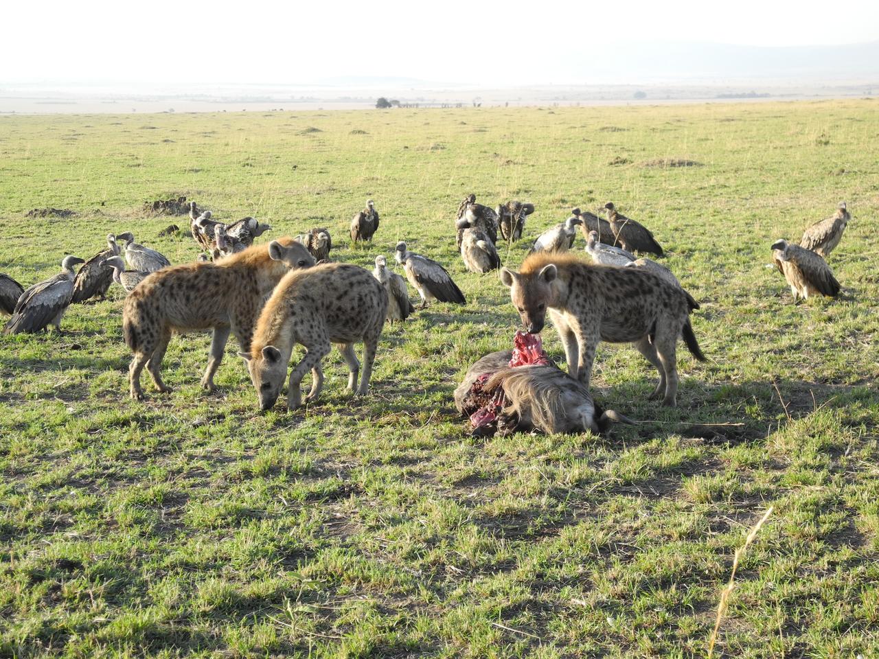 DSCN2570
