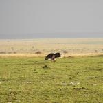 DSCN2624