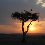 DSCN2627