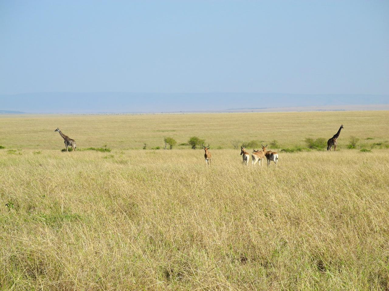 DSCN2661