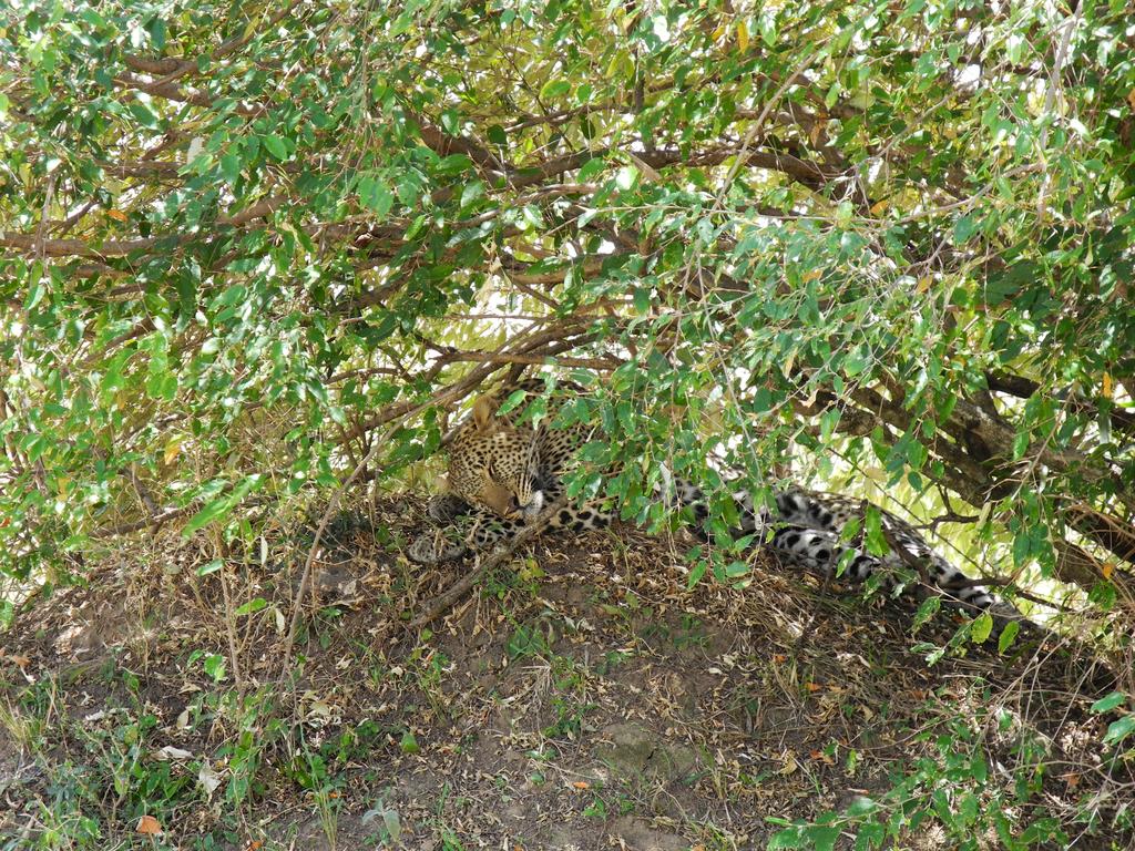 DSCN2791