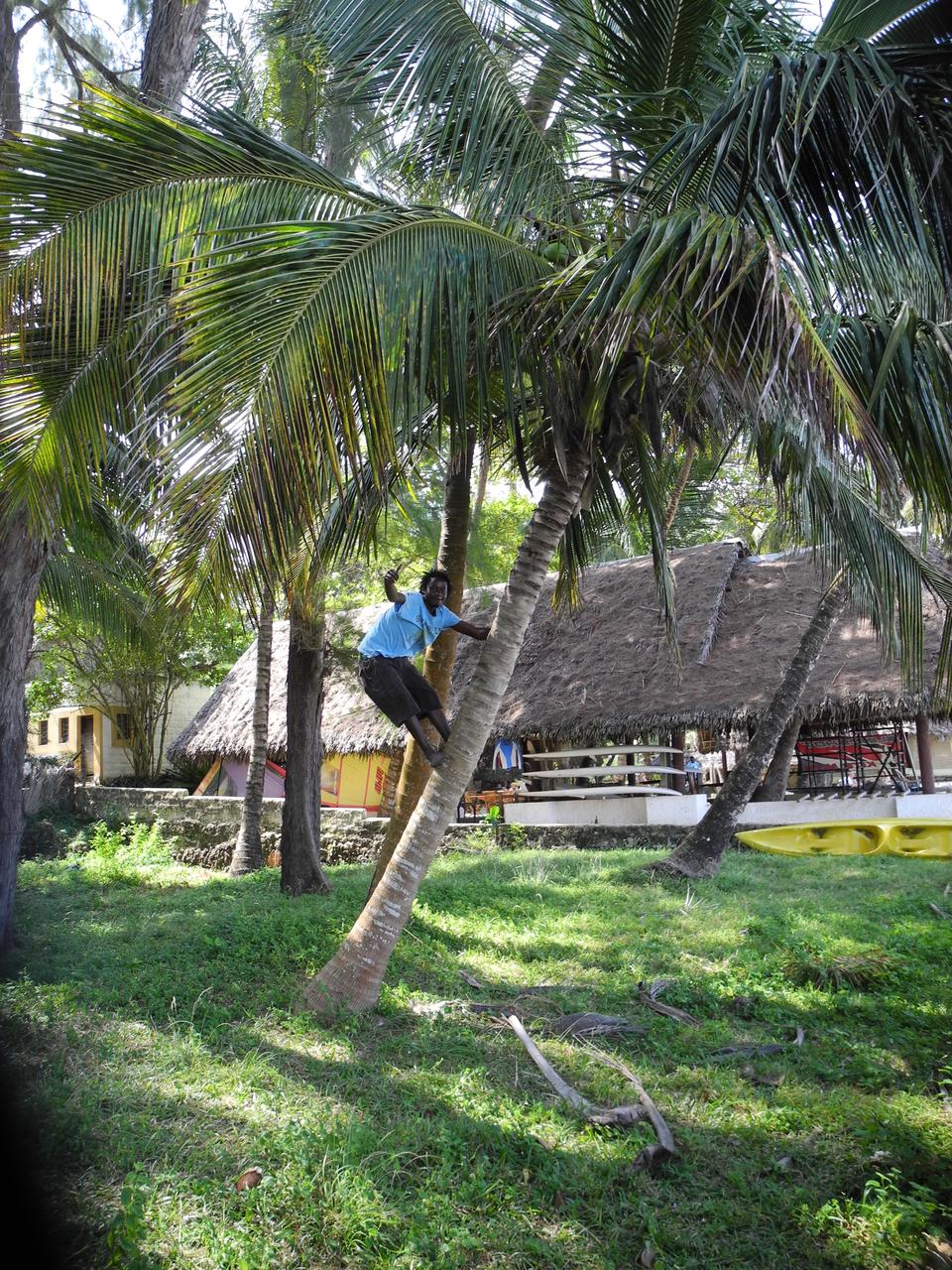 DSCN2838