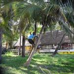 DSCN2838
