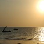 DSCN2887