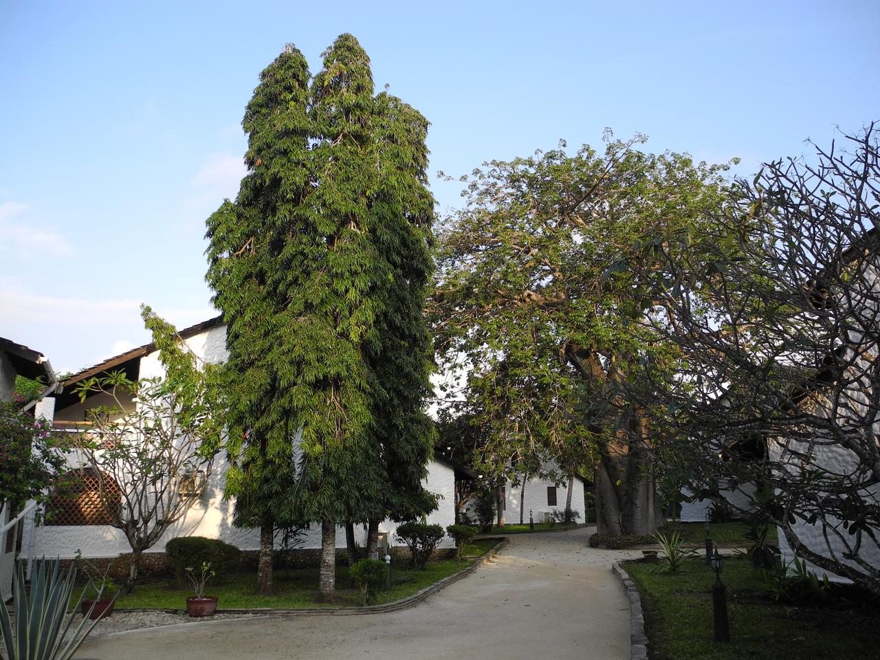 DSCN2898