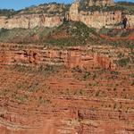 DSC00219