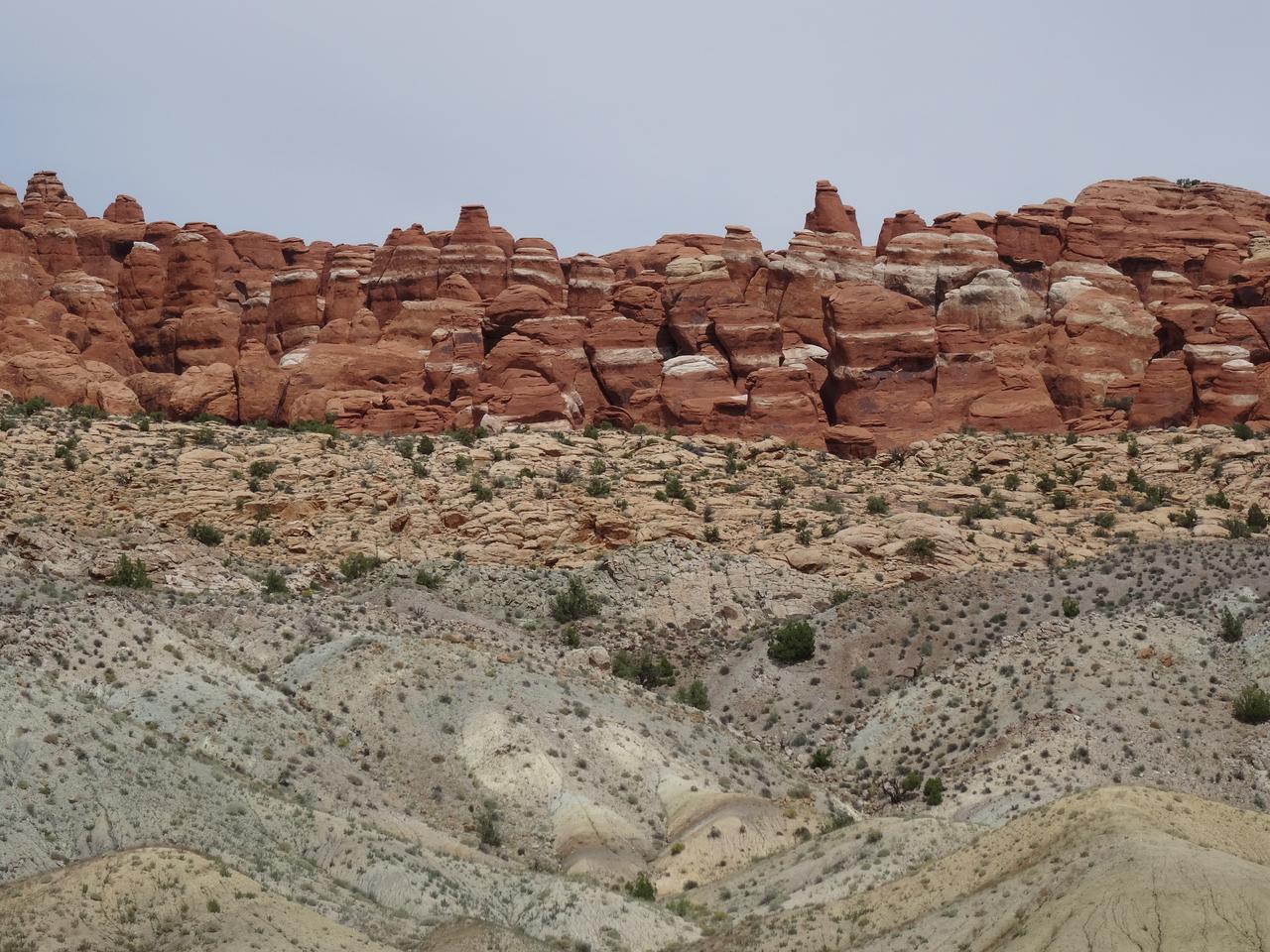 DSC00479