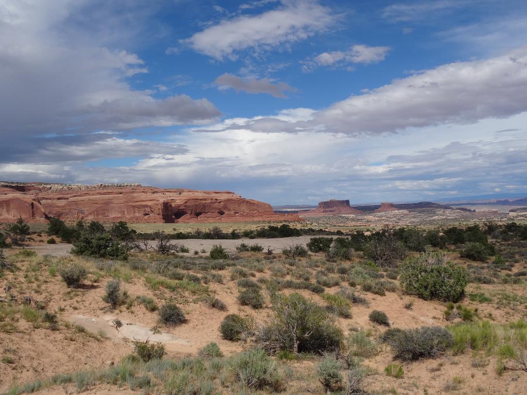 DSC00527