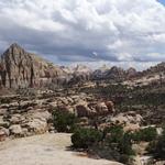 DSC00540