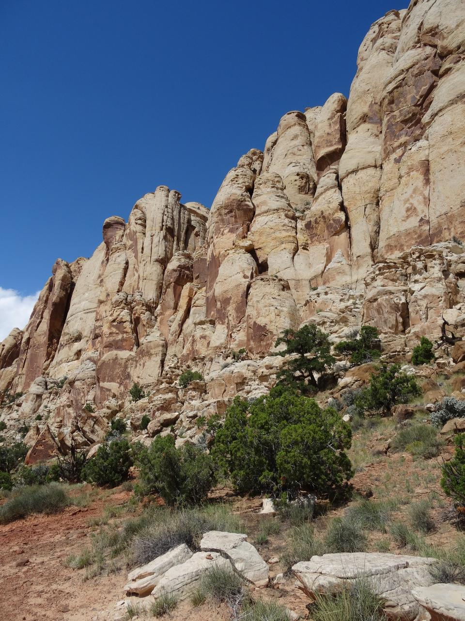 DSC00541
