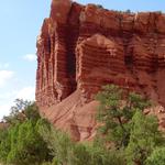 DSC00549