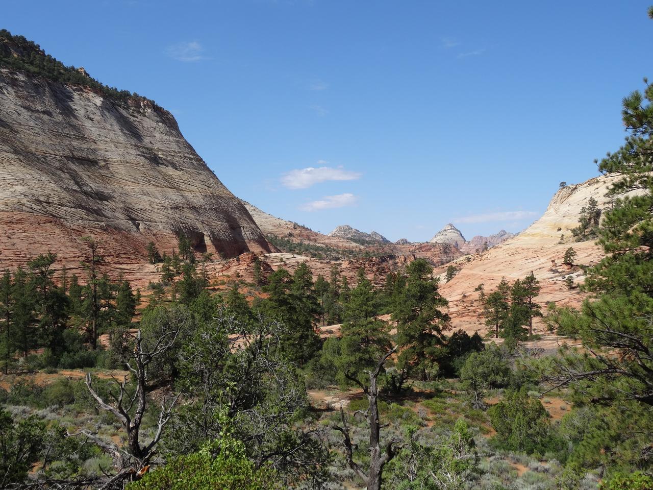 DSC00671