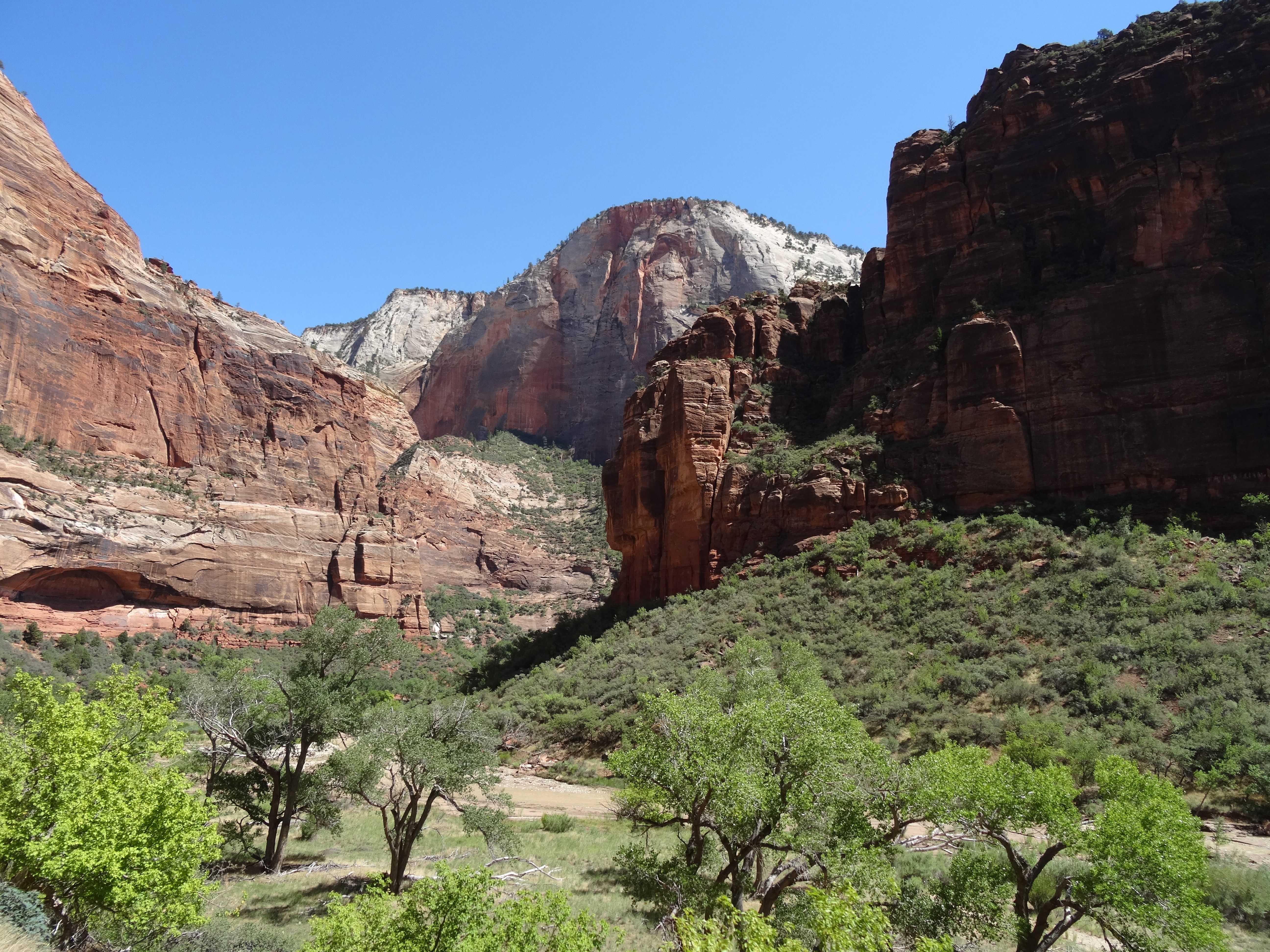 DSC00695
