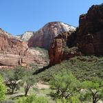 DSC00695