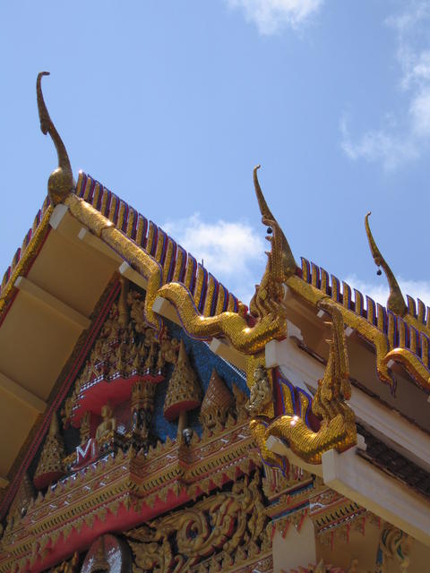 img_1350.jpg
