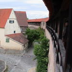 dsc00186.jpg
