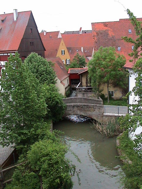 dsc00187.jpg