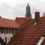 dsc00195.jpg