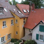 dsc00203.jpg