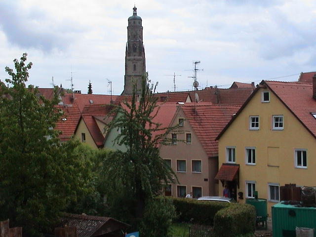 dsc00206.jpg