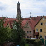 dsc00206.jpg