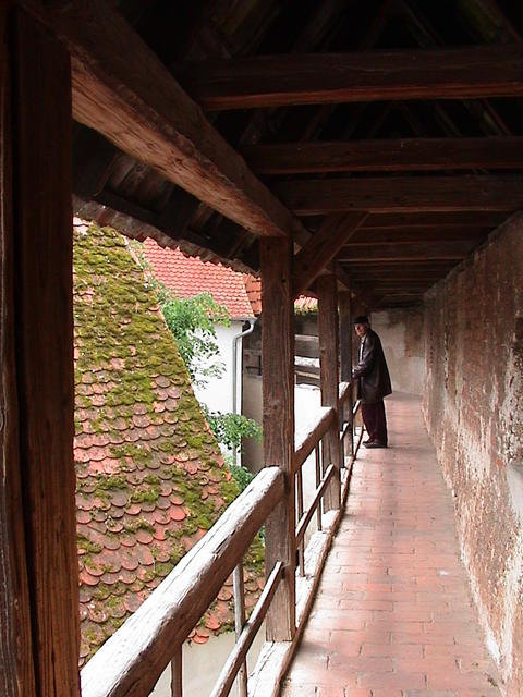 dsc00207.jpg