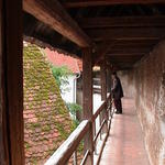 dsc00207.jpg