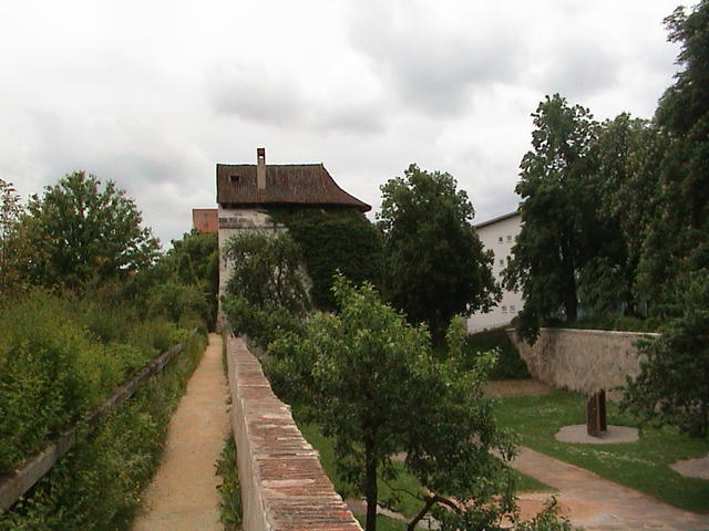 dsc00209.jpg