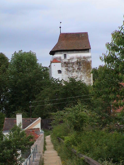 dsc00211.jpg