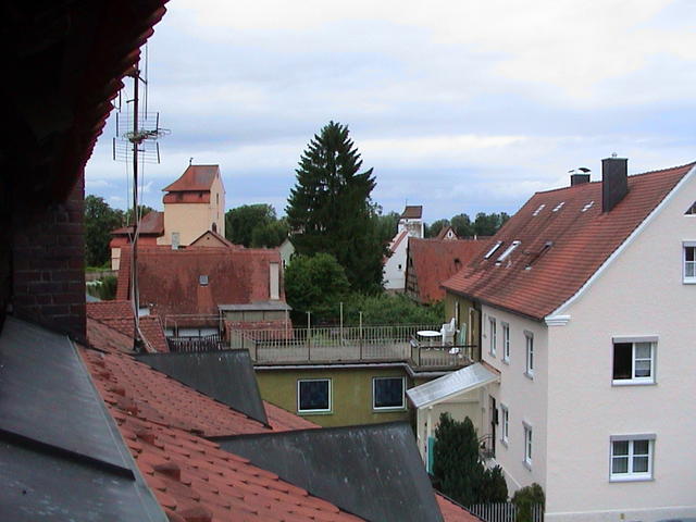 dsc00217.jpg
