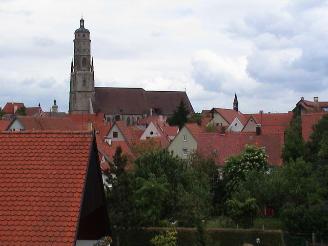 dsc00218.jpg