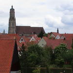 dsc00218.jpg