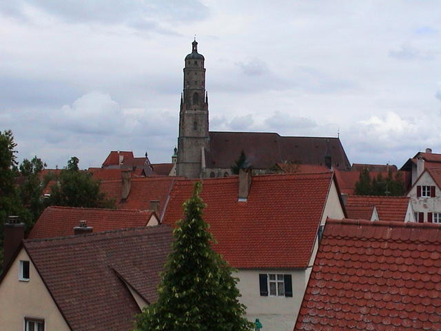 dsc00219.jpg