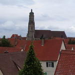 dsc00219.jpg