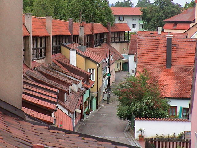 dsc00220.jpg