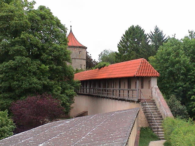 dsc00222.jpg