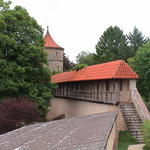 dsc00222.jpg