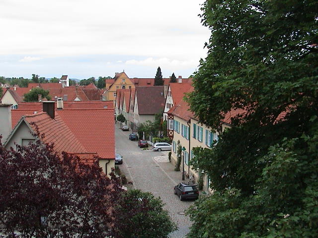 dsc00223.jpg