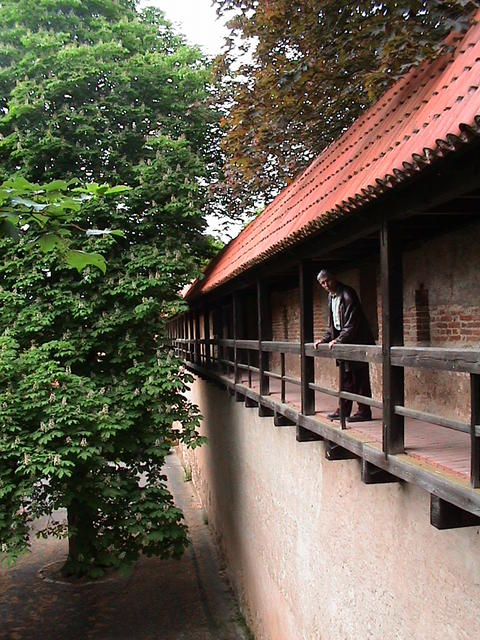dsc00225.jpg