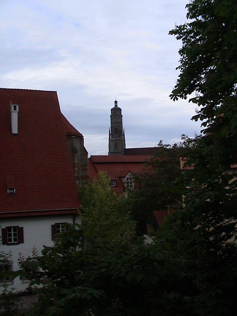 dsc00226.jpg