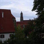 dsc00226.jpg
