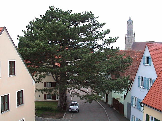 dsc00227.jpg