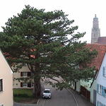 dsc00227.jpg