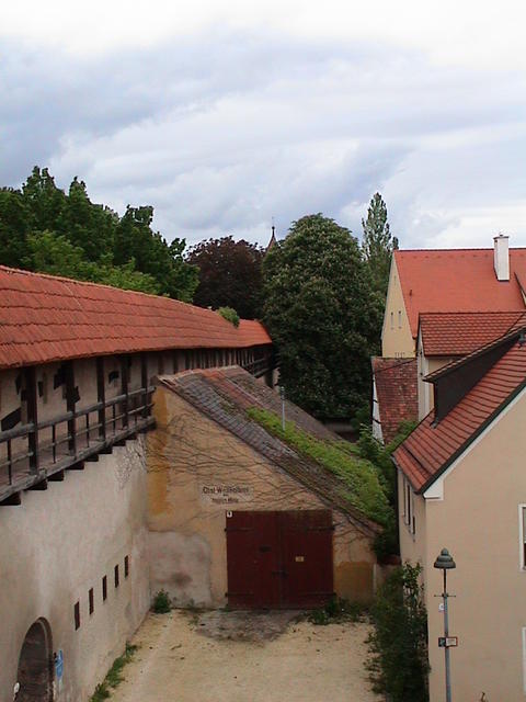 dsc00228.jpg