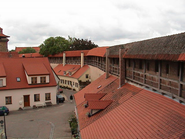 dsc00229.jpg