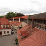 dsc00229.jpg