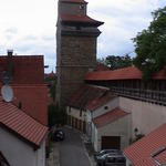 dsc00230.jpg