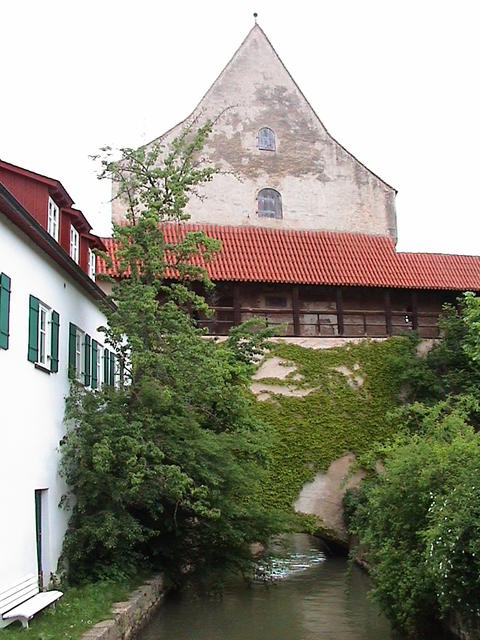 dsc00244.jpg