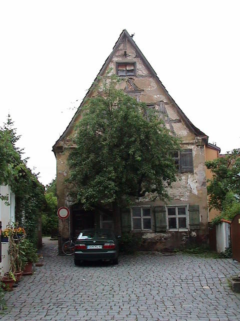 dsc00246.jpg